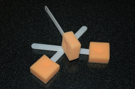 Sponge Stick